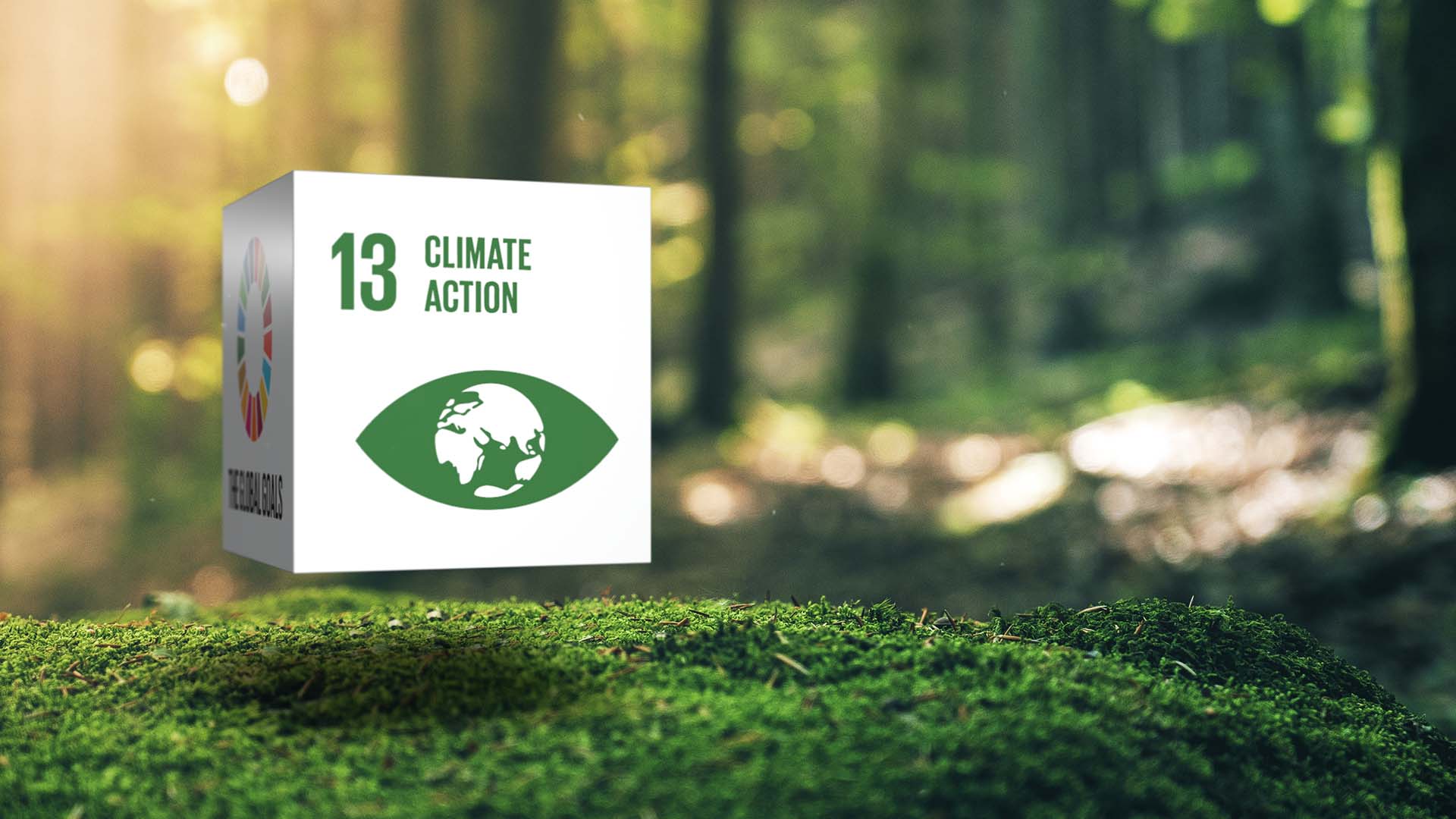 Climate action goal 13