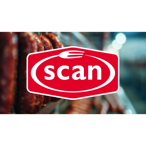 Scan logo with sausages background