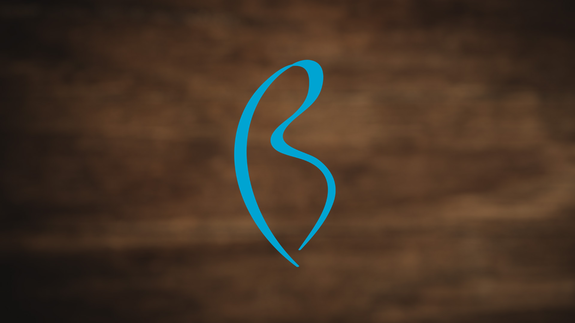 A stylized turquoise "B" shape with smooth curves that is the logo of Bolefloor on a blurred brown floor background. 